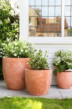 three planters sitting on the side of a house