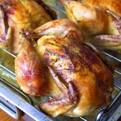 roasted gourmet game hens with garlic, herbs and lemon