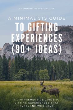 an elk in the middle of a field with text overlay that reads minimalist guide to gifting experiences 90 + ideas