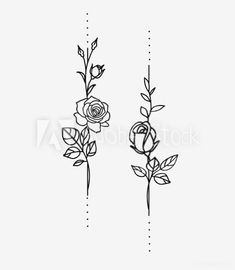 two roses with leaves on the stems, one is drawn in black ink and the other has