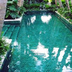 a pool surrounded by palm trees and greenery