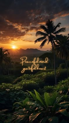 the sun is setting over some palm trees and plants in front of a mountain range