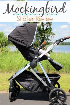 a stroller with the text, rocking bird stroller review