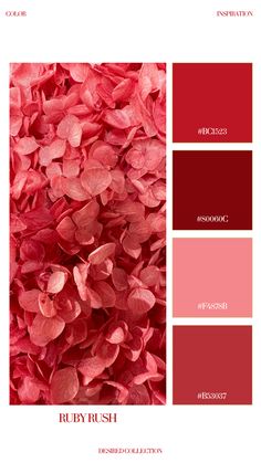 the color scheme for ruby rush is shown in shades of red and pink, with text that