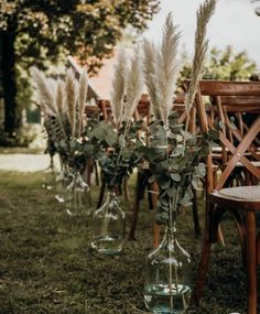 there are many vases with plants in them sitting on the grass near each other