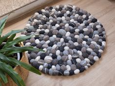 a potted plant sitting on top of a wooden floor next to a round rug