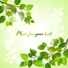 green leaves on a branch with the words place for your text