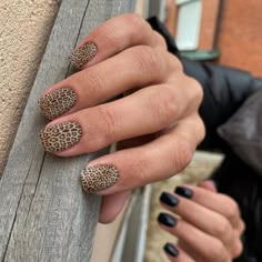 Cheetah Nail Designs, Animal Print Nails Art, Beachy Nails, Hand And Finger Tattoos, Leopard Print Nails, Cute Nails For Fall, Modern Nails