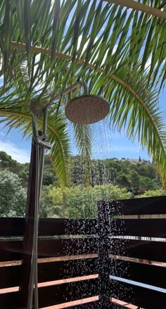 a palm tree is sprinkled with water from a shower head on a deck