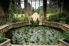 a large pond in the middle of a garden with lots of water lilies growing on it