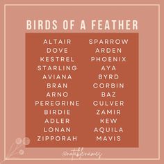 the birds of a featherer poster with their names in white and orange on an orange background