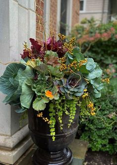 a vase filled with lots of different types of flowers and greenery next to a building