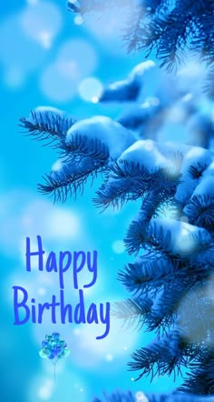 a happy birthday card with blue pine branches and snow on the ground in front of it