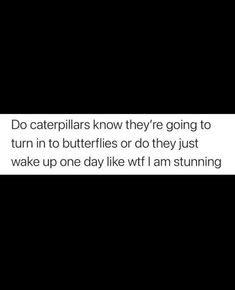 a black and white photo with the words do caterpillars know they're going to turn in to butterflies or do they just wake up one day like if i am stumping