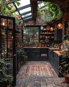 a kitchen filled with lots of plants and potted plants