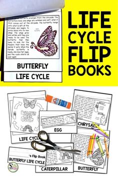 the butterfly life cycle flip book is open and ready to be filled with activities for kids