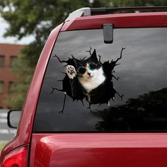 a black and white cat with sunglasses sticking out of the side of a red car