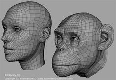 an image of two heads with different angles and shapes on the face, one is shown in