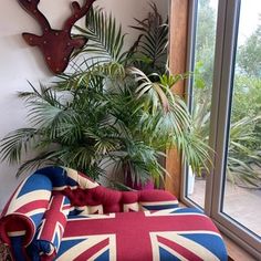 a british flag couch sitting in front of a window next to a potted plant