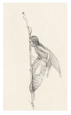 a pencil drawing of a woman holding onto a branch with her head in the air