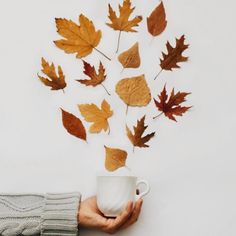 a person holding a coffee cup in their hand with autumn leaves coming out of it