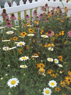 a white picket fence surrounded by lots of wildflowers and daisies in the foreground