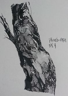 an ink drawing of a tree branch with chinese writing on it