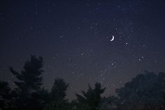 the night sky is full of stars and trees, with one half moon visible in the distance