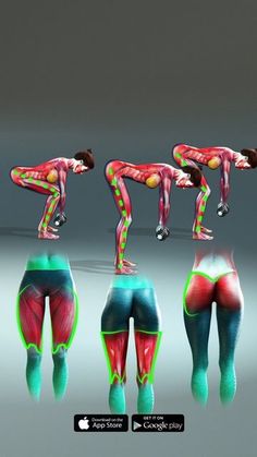 the woman is doing yoga poses on her legs and knees, with different muscles highlighted