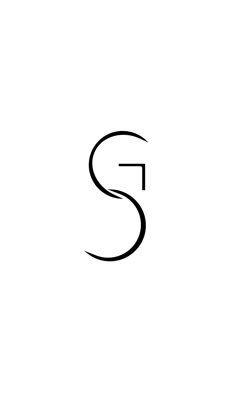 the letter s is made up of black lines and letters that appear to be capital