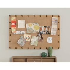 a bulletin board with many pictures and magnets attached to the back of it, along with a cactus