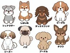 a group of dogs sitting next to each other on top of a white surface with japanese writing