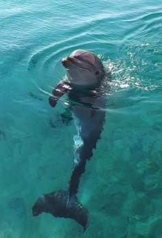 a dolphin swimming in the ocean with its head above the water's surface and it's mouth open