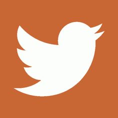 a white twitter logo on an orange background