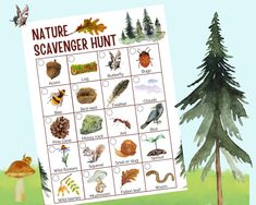 a nature scavenger hunt is shown in front of an illustration of trees and mushrooms