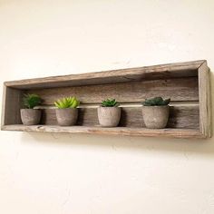 four succulents are placed on a wooden shelf