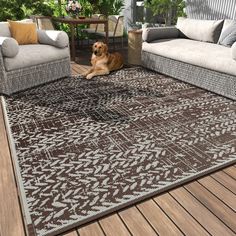 a brown dog laying on top of a wooden floor next to couches and tables