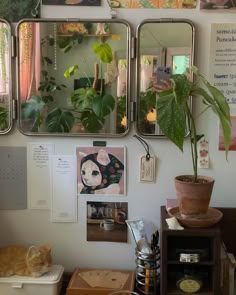 an orange cat laying on top of a desk next to three mirrors and a potted plant