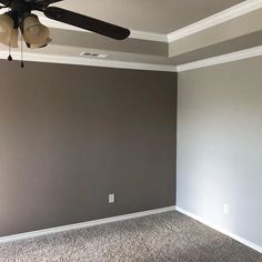 empty room with ceiling fan and carpeted floor