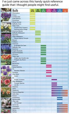 an info sheet with different types of flowers and plants in the same color palettes