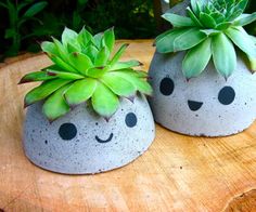 the cutest concrete planter DIY Concrete Succulent Planters, Diy Concrete Planters, Easy Jewelry, Concrete Crafts, Diy Dollar Store Crafts, Crafts To Make And Sell, Cactus Y Suculentas, Concrete Planters, Concrete Diy