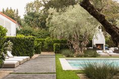 a pool surrounded by greenery next to a lush green yard with lounge chairs and trees