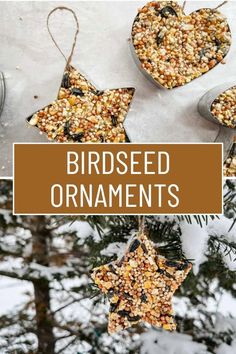 birdseed ornaments hanging from a tree in the snow with text overlay that reads bird seed ornaments