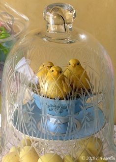 two yellow birds sitting in a blue bowl under a glass dome