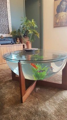 a glass table with fish in it on carpeted floor next to wall and potted plant