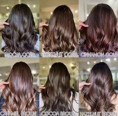 Tint Hair Color For Short Hair, Hair Colour For Filipino Skin, Brown Hair Colors For Indian Skin, Middle Eastern Hair Color, Coco Brown Hair Color, Cocoa Brown Hair Color, Cocoa Hair Colour, Mocha Brunette Hair, Brown Hair Gloss