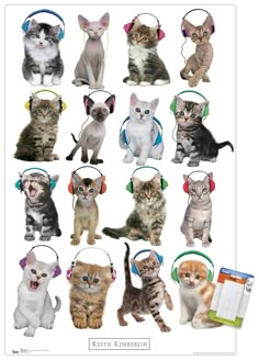 a bunch of kittens with headphones are shown in this poster, which is also available for purchase