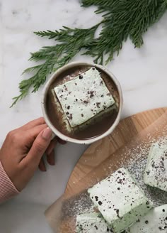 someone is holding a bowl with some food on it and there are pine branches in the background