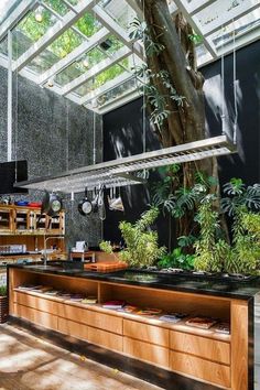 an outdoor kitchen with lots of plants on the counter