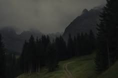 a dirt road in the middle of a forest with mountains in the backgroud